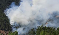 Kastamonu'da ormanlık alanda çıkan yangın kontrol altına alındı