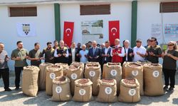Ordu TMO'da fındık alımı başladı