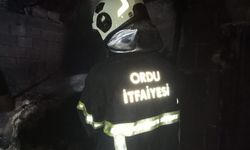 Ordu'da ahır yangını: 1 buzağı telef oldu