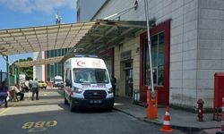 Ordu'da ırmağa giren mevsimlik işçi iki kardeşten Ersin öldü, diğerinin durumu ağır