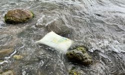 Ordu'da kıyıya vuran konteynerde inceleme