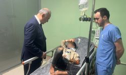 Ordu'da patpat kazası: 2 ölü, 11 yaralı