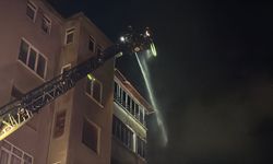 Samsun'da bir depoda yangın (2)