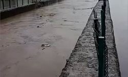 Samsun'da kuvvet yağış etkili oldu