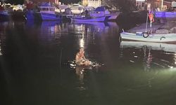 Samsun'da park halindeki otomobil denize düştü