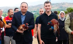 Tokat'ta 1500 sülün ve keklik doğaya salındı