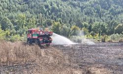 Anız yangınında baraka yandı