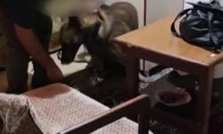 Bartın merkezli 3 ilde operasyon; 26 gözaltı