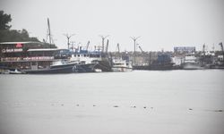 Bartın'da, boy sınırının altında balık avlayanlara ceza