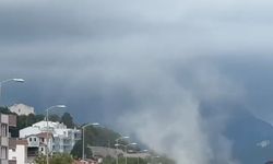 Bartın'da kuvvetli rüzgar; ağaçlar devrildi (3)