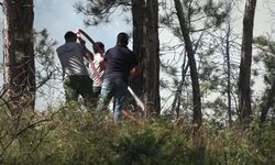 Bolu ve Düzce'de bu yıl orman yangınlarında 7 hektar zarar gördü