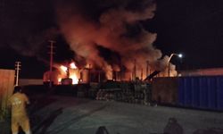Bolu'da geri dönüşüm tesisinde yangın