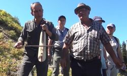 Çepnilerin rotaları haritalandırıldı; 'otçu göçü'ne horonlu keşif / Ek fotoğraflar