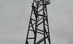 Elektrik tellerine çarpan kuş yangına neden oldu