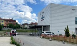 Kastamonu'da orman işçisi, arı sokması sonucu öldü