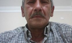 Kesilen ağacın dalının çarptığı orman işçisi öldü
