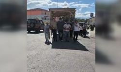 Öğretmenler kamelyayı, 200 metre mesafedeki yeni okula taşıdı