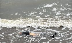Ordu'da kayıp kişinin sahilde cesedi bulundu