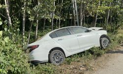 Otomobil, elektrik direğine çarptı; sürücü yaralandı, eşi öldü