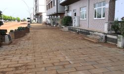 Rize'de heyelanlı bölgede çay hasadı