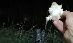 Tilkiyi eliyle besledi