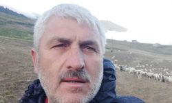 Yayla yolunda kaza geçiren sürücü hayatını kaybetti