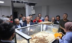 AK PARTİ SAMSUN MİLLETVEKİLİ ORHAN KIRCALI FINDIK ÜRETİCİLERİ İLE BİRARAYA GELDİ