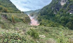 Amasra'da fırtına; çok sayıda ağaç devrildi (4)