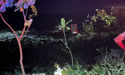 Artvin'de kontrolden çıkan TIR, deniz kenarındaki kayalıklara takıldı