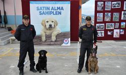 Büyükşehir'den hayvan sevgisi için renkli etkinlik