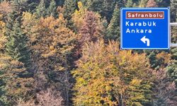 Karabük ormanlarında sonbahar renkleri