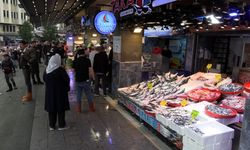 Karadeniz'de palamut göç etmeye başladı; hamsi bolluğu beklentisi