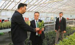Rektör Yılmaz süs bitkisi üretim merkezini ziyaret etti