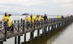 Samsun'da doğa gözlem kampında nadir kuş türleri görüntülendi