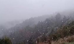 Yedigöller Milli Parkı'nda hafif kar yağışı