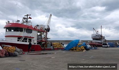 Zonguldak'ta balıkçılar, sezonu erken kapattı