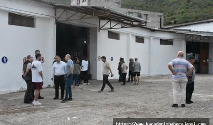 TMO, Ordu'da fındık alımına başladı
