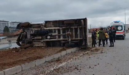 Büyükbaş yüklü kamyonet devrildi; 3 yaralı