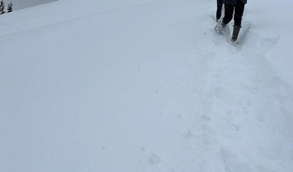 Karda mahsur kalan hayvanları köyün gençleri kurtardı