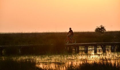 Kızılırmak Deltası Kuş Cenneti'nde bahar coşkusu; flamingolardan görsel şölen