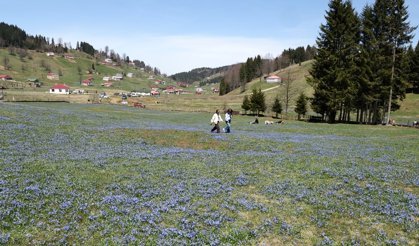 Kadıralak Yaylası'nda 'mavi yıldız' şöleni / Ek fotoğraflar