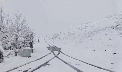 Ordu'da mayıs ayında kar yağdı