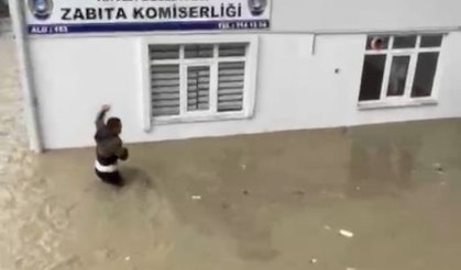 Sel sularına kapılan kediyi boğulmaktan kurtardı