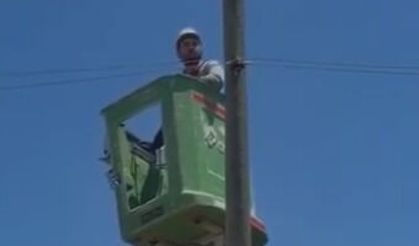 Amasya'da elektrik direğinde mahsur kalan kedi kurtarıldı