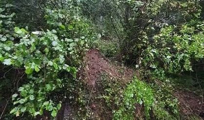 Heyelanda kaya parçası eve isabet etti