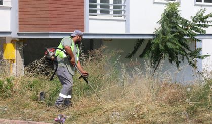 İlkadım Belediyesi'nden kapsamlı temizlik seferberliği