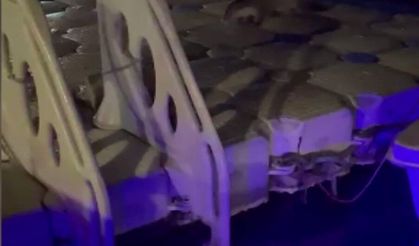 İskeleye çıkan su samurlarını balıkla beslediler