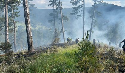 Kastamonu'da orman yangını