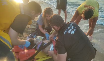 Ordu'da denizde boğulma tehlikesi geçiren 4 çocuk kurtarıldı