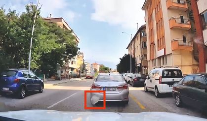 Otomobilden yola çöp atanlar araç içi kamerasına yansıdı; sürücüye ceza kesildi